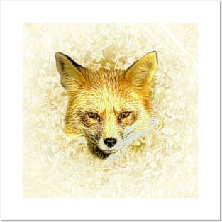 Red fox portrait Posters and Art